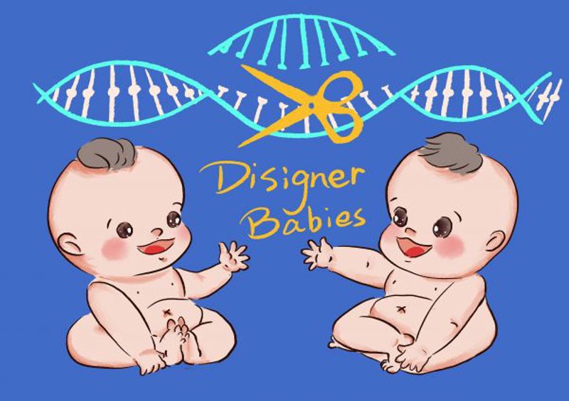 蛋白质表达：用通俗易懂的语言解读原理