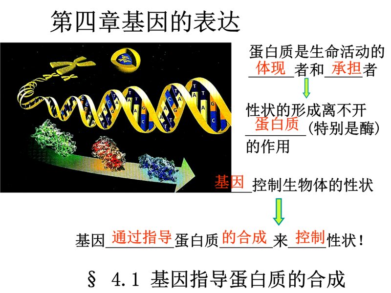 生物发酵:开启绿色工业新篇章